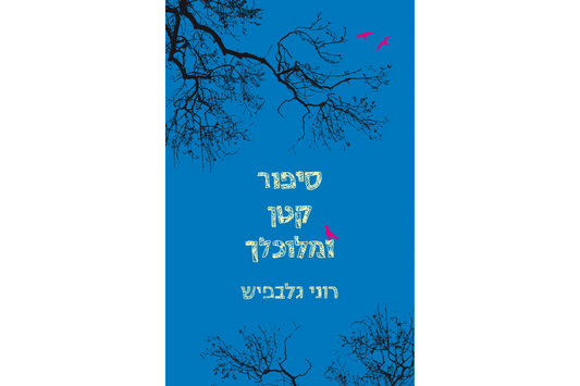 סיפור קטן ומלוכלך, ספר פרוזה, רוני גלבפיש